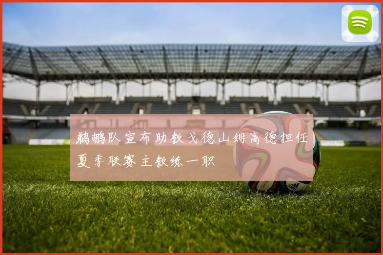 鹈鹕队宣布助教戈德山姆高德担任夏季联赛主教练一职